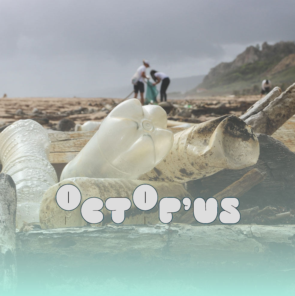 Octop'us : una ONG francesa